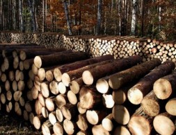 OBAVIJEST ZA KORISNIKE ZAJAMČENE MINIMALNE NAKNADE