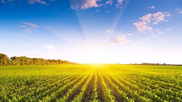 Obavijest o obveznoj edukaciji EKO SHEME + PROIZVODNO VEZANA PLAĆANJA