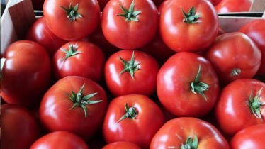 Podravka u suradnji s Općinom Kloštar Podravski organizira Dan podravske rajčice