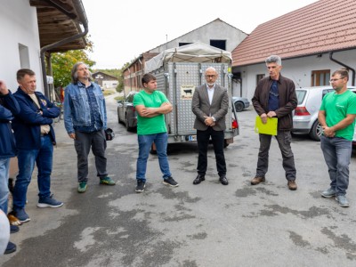 Rasplodni-bik_OPG-Imbrisic-in-4