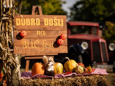 Buč Fest 2026-6