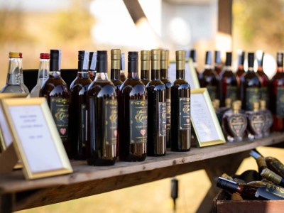 Buč Fest 2026-28