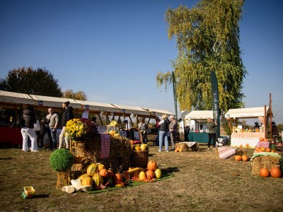 Buč Fest 2026-32