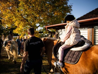 Buč Fest 2026-114