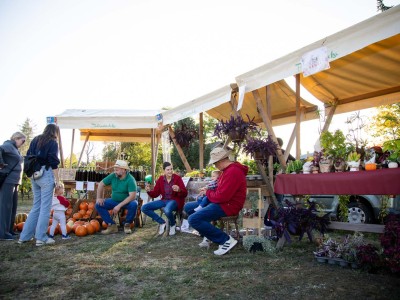 Buč Fest 2026-120