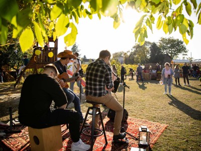 Buč Fest 2026-104