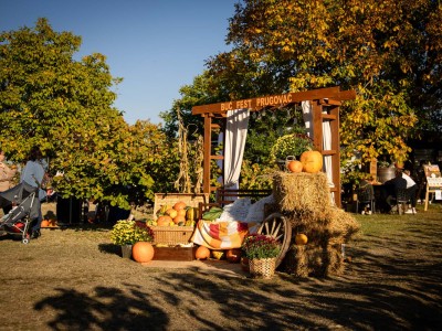 Buč Fest 2026-110