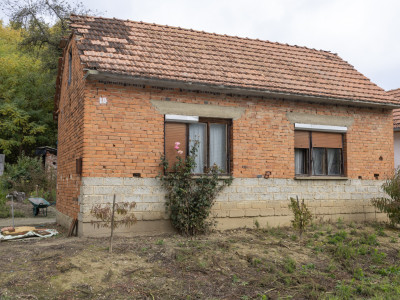 Mato_ilincic_kontejner_in-8
