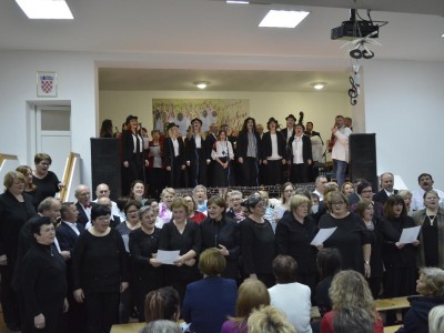 Dsc2683_iQf7QiScIo