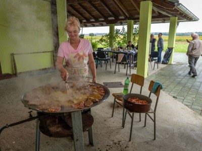 Kolonija_21