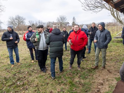 Vincekovo2025_V. Breg (1 of 1)-10