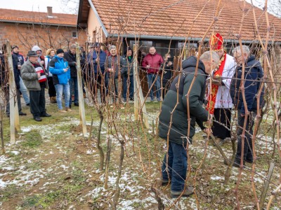 Vincekovo2025_V. Breg (1 of 1)-3