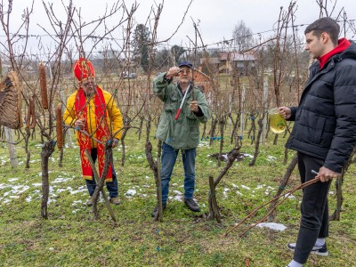 Vincekovo2025_V. Breg (1 of 1)-32