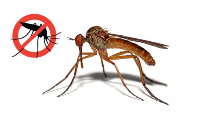 Dezinsekcija komaraca na području Općine Kloštar Podravski