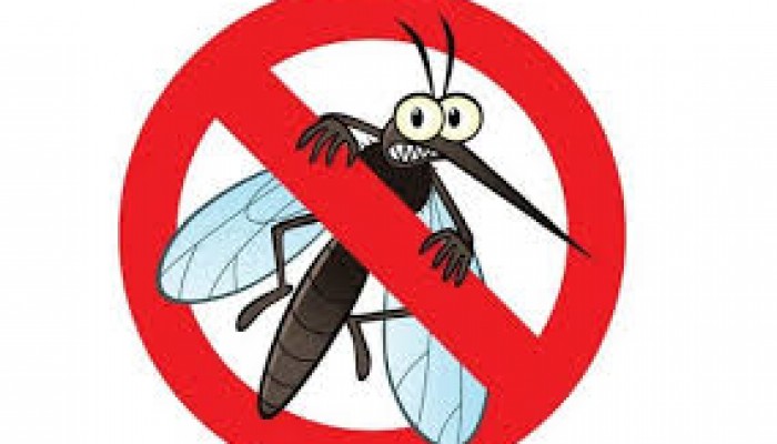 Obavijest o provođenju adulticidnog tretmana dezinsekcije komaraca (zadimljavanje)