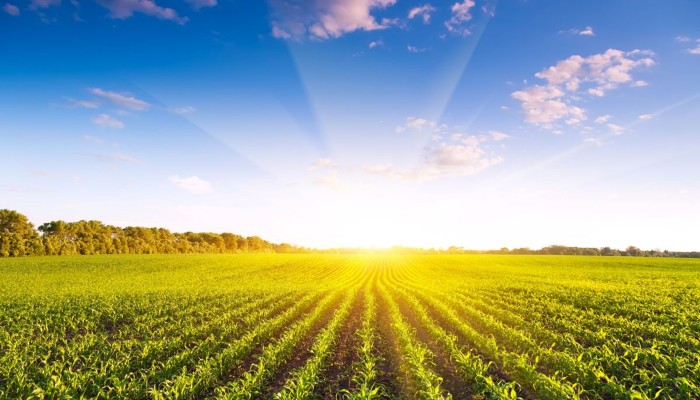 Obavijest o obveznoj edukaciji EKO SHEME + PROIZVODNO VEZANA PLAĆANJA